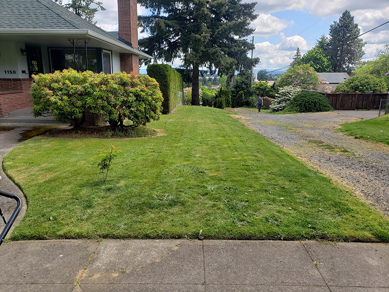 Lawn Service