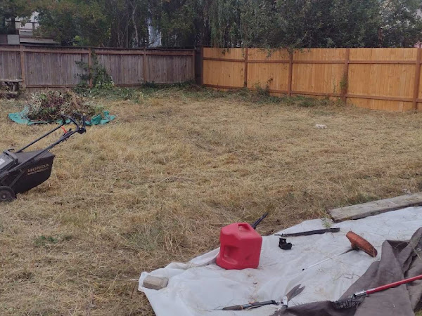 Lawn Service in Portland, OR