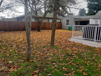 Fall Cleanup Fall Cleanup