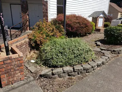 Brush Trimming Brush Trimming