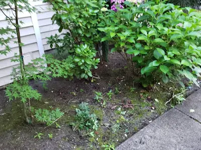 Residential Landscaping Residential Landscaping